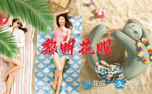 蚍蜉撼树花呗